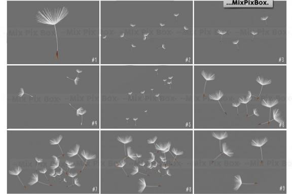 Dandelion Overlays