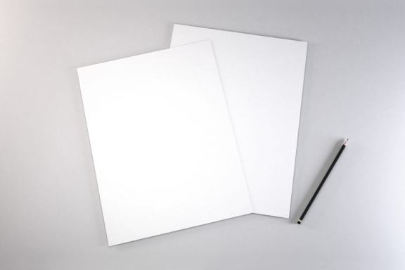 Free Letter Sized CV Mockup Template