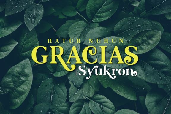 Magical Source - Stylish serif font