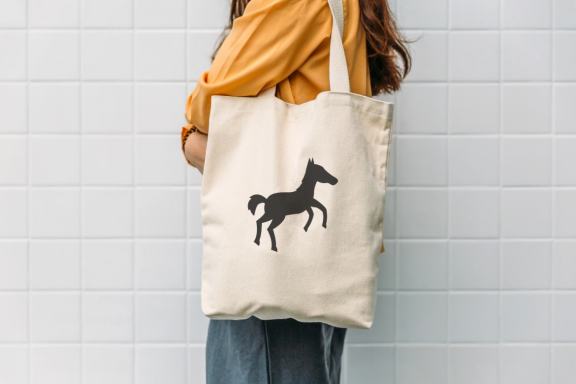 Silhouettes of horse