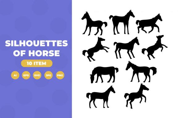 Silhouettes of horse