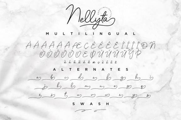 Nellyta - Minimalist and Monoline Font