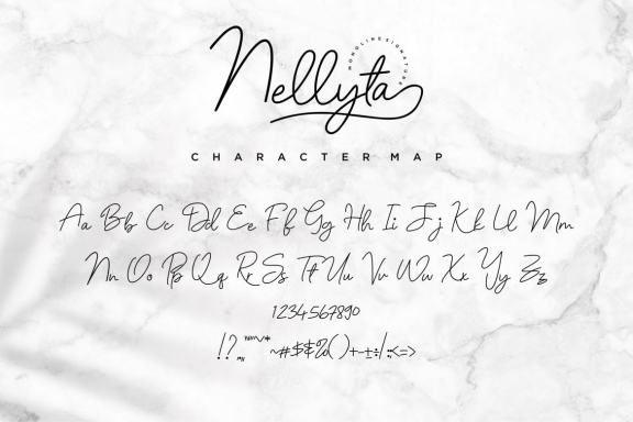 Nellyta - Minimalist and Monoline Font