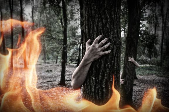 580+ Fire Photo Overlays Pack