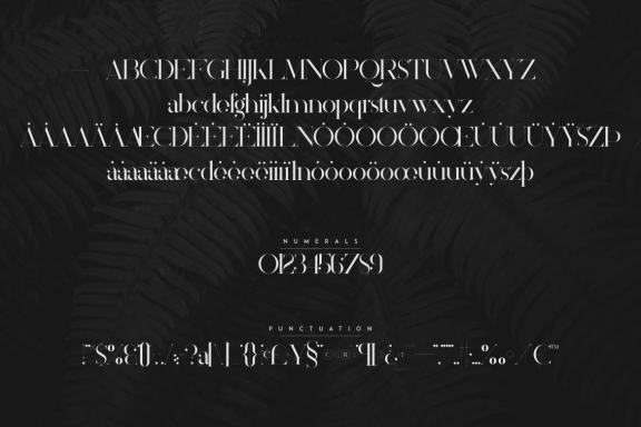 Silver Queen Serif Hairline