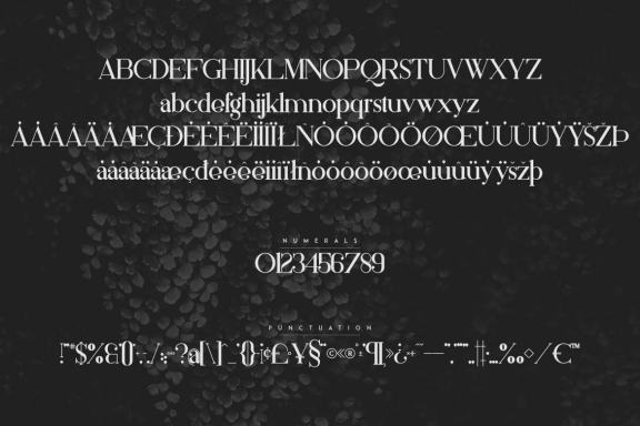 Silver Queen Serif Extra Bold