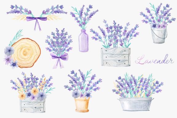 Watercolor Lavender Design Pack