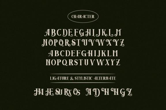 Angwie Serif Art Font