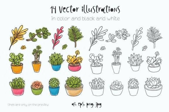 Succulents 14 vector illustrations