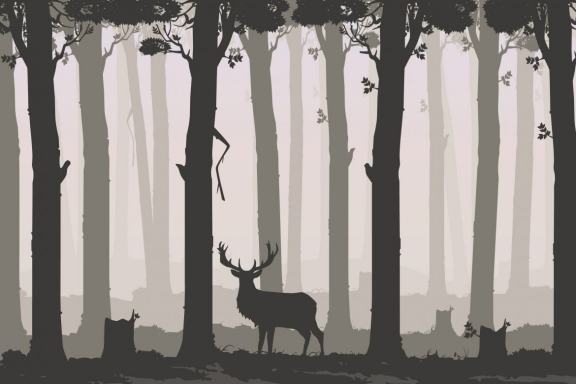 Wild animals on the background of nature