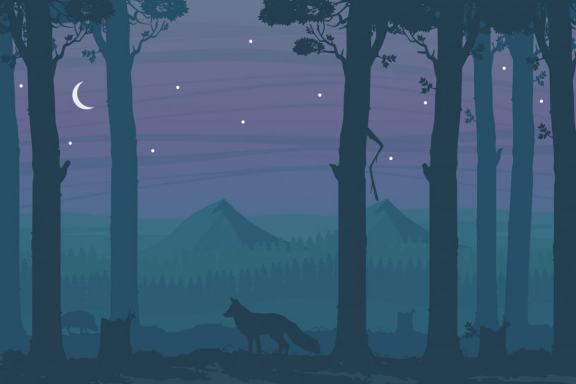 Wild animals on the background of nature