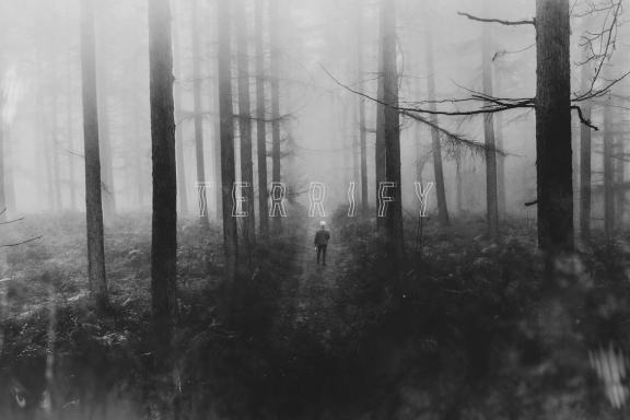 50 Haunted Photo Overlays