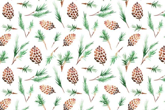 Watercolor Pine Branches Set Graphic