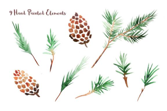 Watercolor Pine Branches Set Graphic