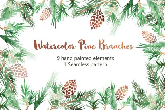 Watercolor Pine Branches Set Graphic