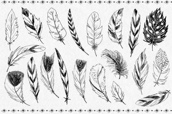 Vector Hand Sketched BUNDLE