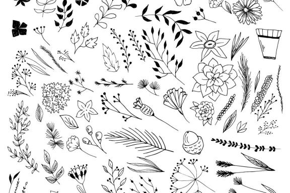 Vector Hand Sketched BUNDLE