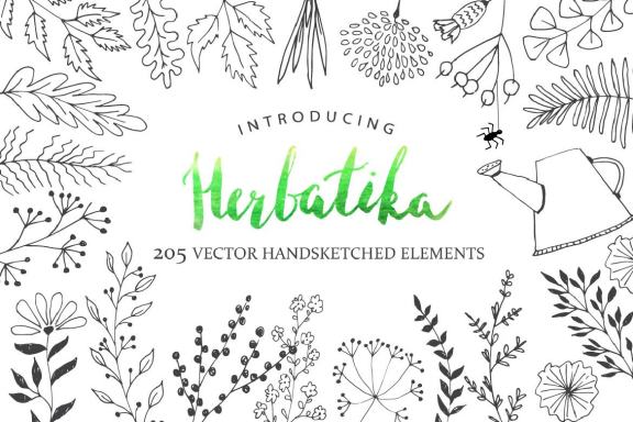 Vector Hand Sketched BUNDLE