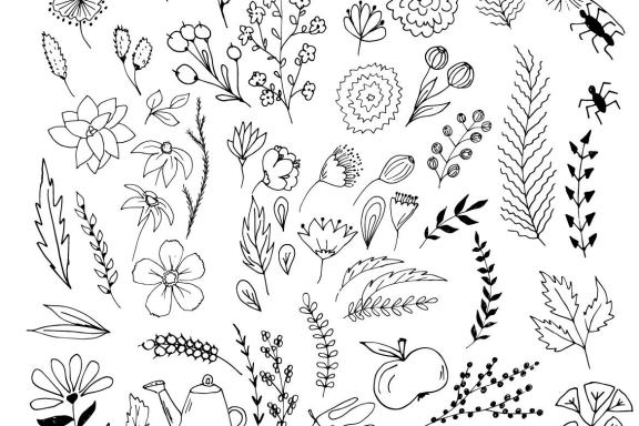 Vector Hand Sketched BUNDLE