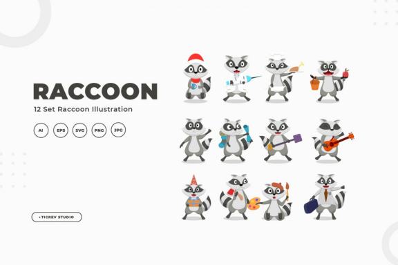 Raccoon illustration collection