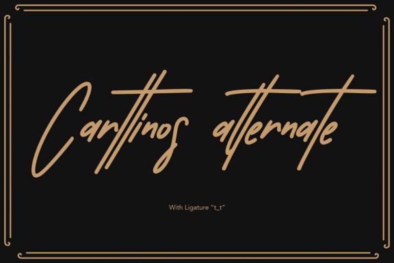 Carttinos Signature Typeface