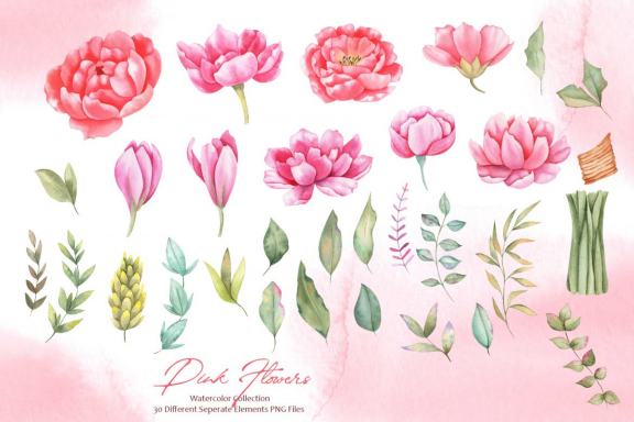 Watercolor Pink Flowers Collection