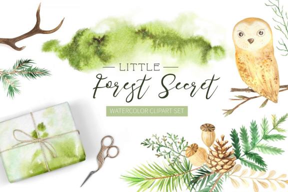 Watercolor Forest Graphic Set