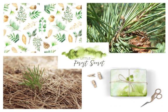 Watercolor Forest Graphic Set
