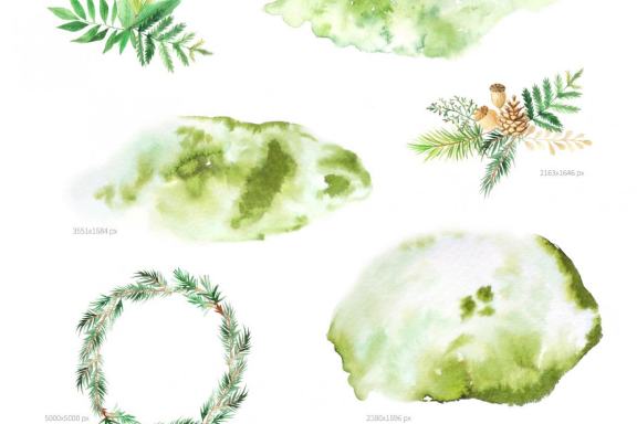 Watercolor Forest Graphic Set