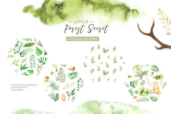 Watercolor Forest Graphic Set