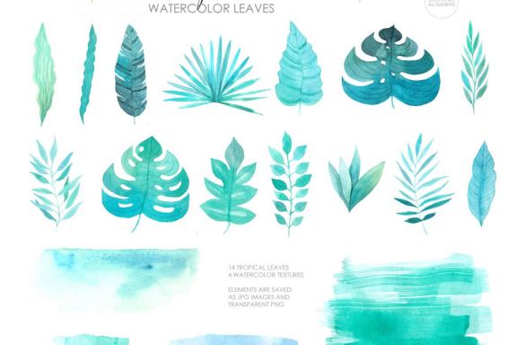 Watercolor Tropical Green Leaves and Frames clipart