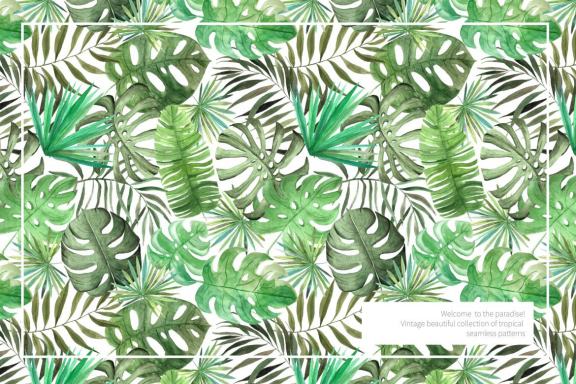 15 Watercolor Tropical Seamless Patterns Set