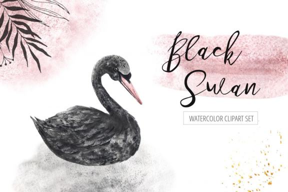 Watercolor Black Swan clipart set