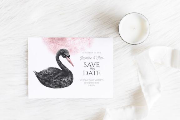 Watercolor Black Swan clipart set