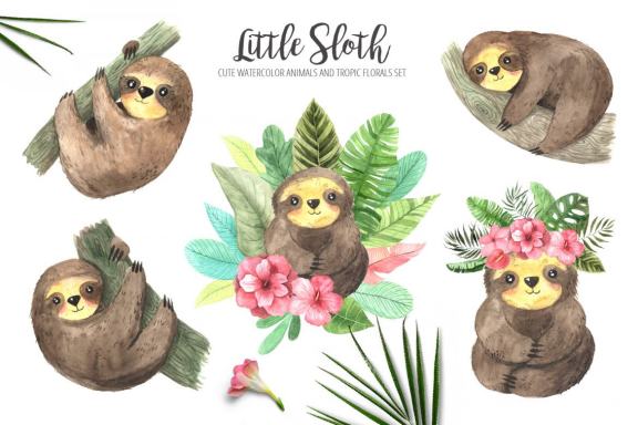 Watercolor Sloth animals and Tropic Florals clipart