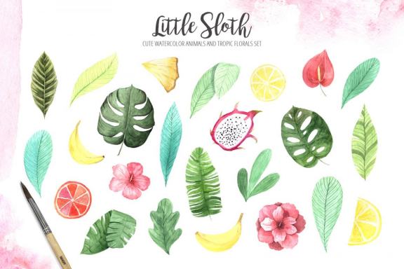 Watercolor Sloth animals and Tropic Florals clipart