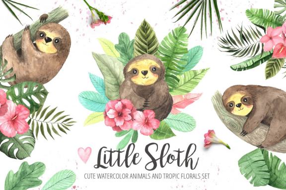 Watercolor Sloth animals and Tropic Florals clipart