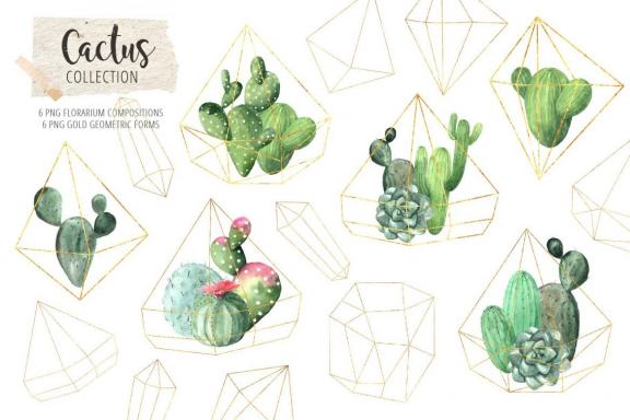 Watercolor Tropical Cactus clipart set