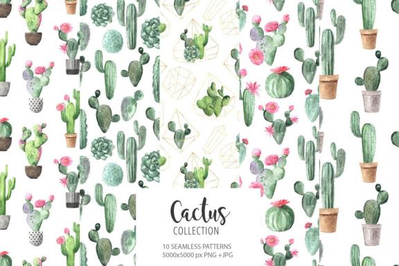Watercolor Tropical Cactus clipart set