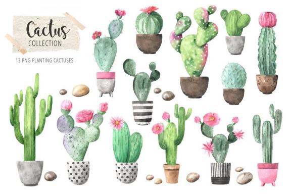 Watercolor Tropical Cactus clipart set