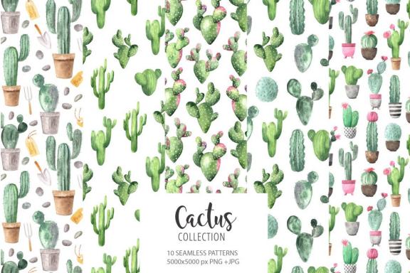 Watercolor Tropical Cactus clipart set