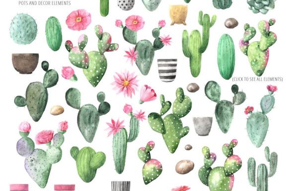 Watercolor Tropical Cactus clipart set