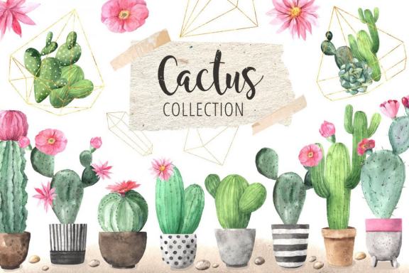 Watercolor Tropical Cactus clipart set