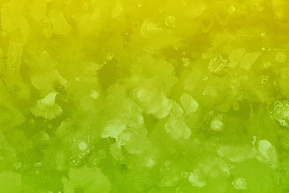 Gouache Minimalist Textures 3