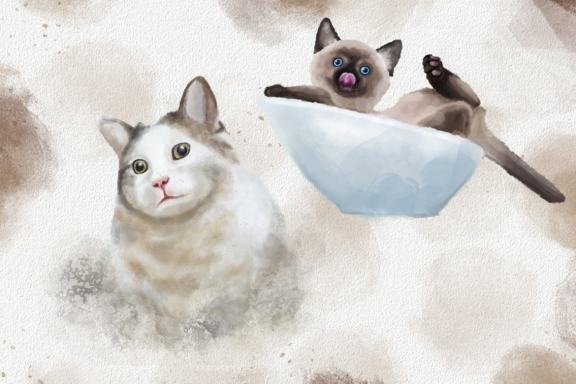 Dogs and Cats Watercolor Illustration Collection Clipart