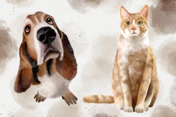 Dogs and Cats Watercolor Illustration Collection Clipart