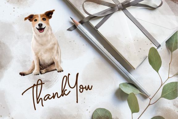 Dogs and Cats Watercolor Illustration Collection Clipart