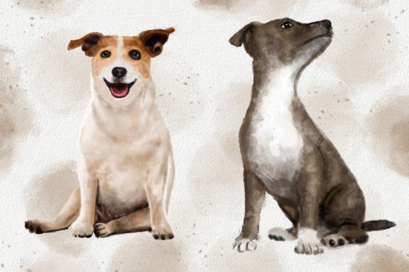 Dogs and Cats Watercolor Illustration Collection Clipart