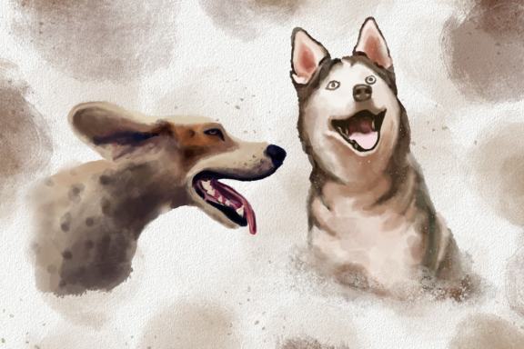 Dogs and Cats Watercolor Illustration Collection Clipart