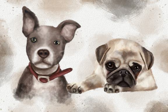Dogs and Cats Watercolor Illustration Collection Clipart